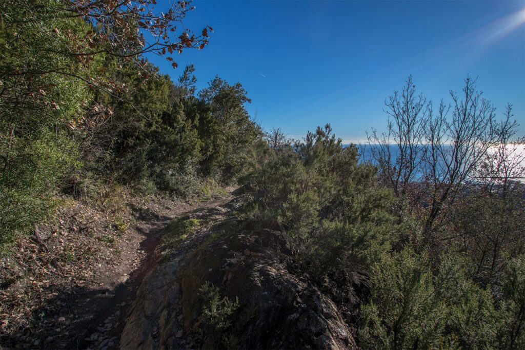 single track sea view in Liguria near Finale Ligure e bike