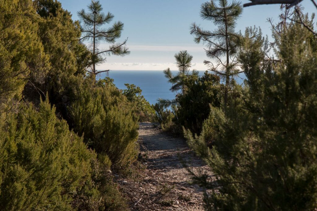 sentieri liguria nordicwalking sul mare track vista mare